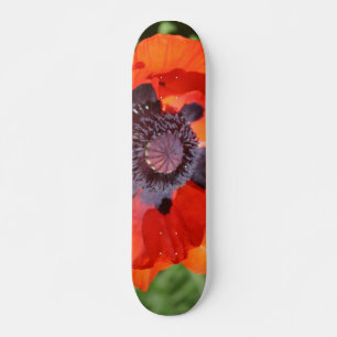 Skate Oriental Poppy Flower
