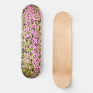 Skate Orquídeas