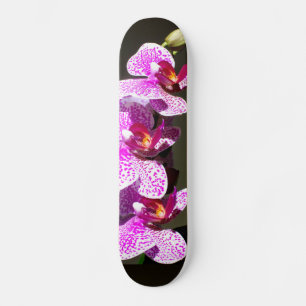Skate Orquídeas Rosa