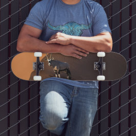 Skate Oryx na borda, Namíbia