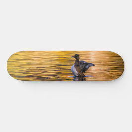 Skate Ouro de um lago ouro