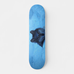Skate Outdoor de Wolf de Madeira de Neve Azul