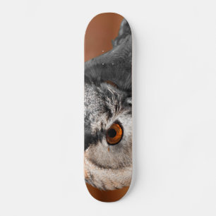 Skate Owl Stare