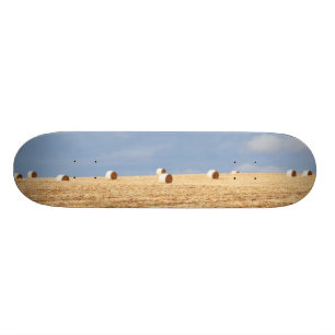 Skate Pacotes de feno no campo