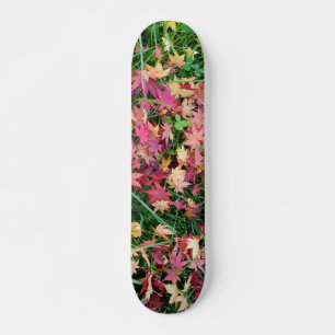 Skate Padrão das folhas em queda