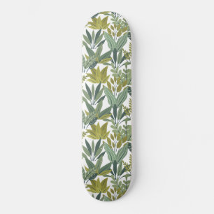 Skate Padrão das plantas