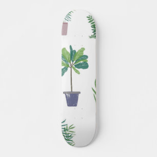 Skate Padrão de planta