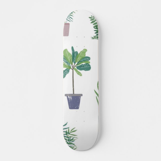 Skate Padrão de planta (Frente)