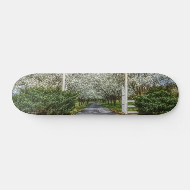Skate Página inicial da unidade de primavera (Horz)