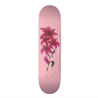 Skate Painéis de navegação cor-de-rosa
