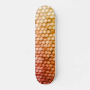 SKATE PAINEL