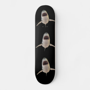 SKATE PAINEL DE ESCALA SHARKS