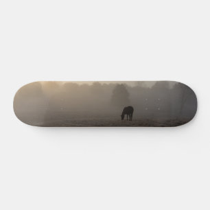 Skate Painel de navegação da Manhã