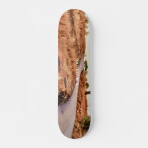 Skate Paisagem Rodoviária Insano Texto Personalizado Rec