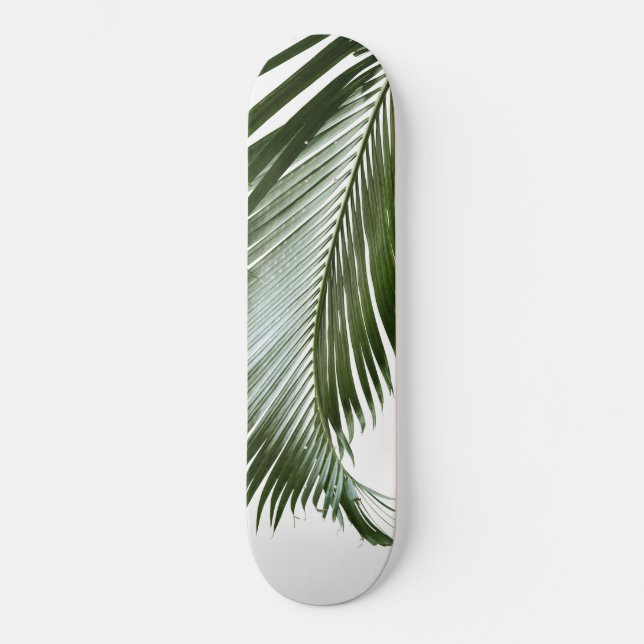 Skate Palm Leaf Finesse #2 #tropical #wall #art (Frente)