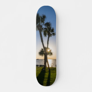 Skate Palma de Tesoura de Árvore Silhouboard