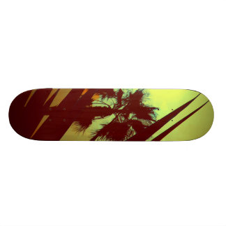Skate palmeira