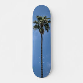 Skate Palmeira Céu Azul