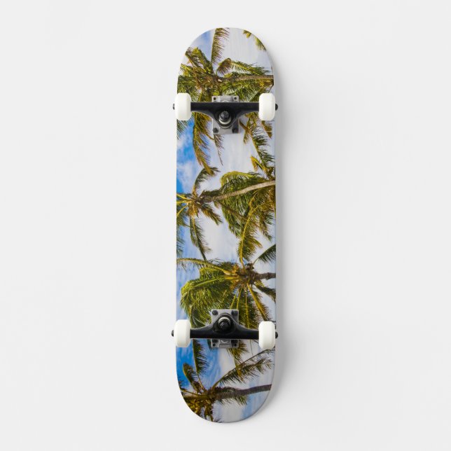 Skate Palmeiras de coco (Cocos nucifera) balançando ao (Frente)