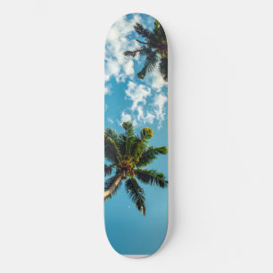 Skate Palmeiras no céu azul