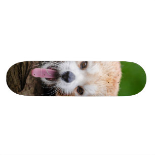 Skate Panda vermelha