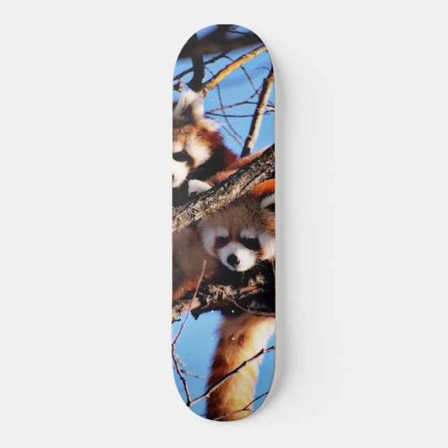 Skate pandas vermelhas (Frente)