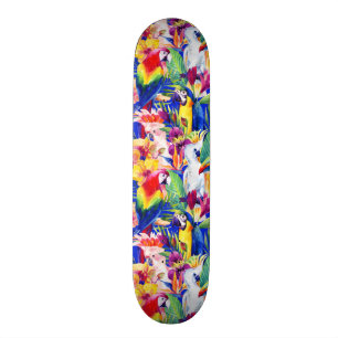 Skate Papagaios da aguarela