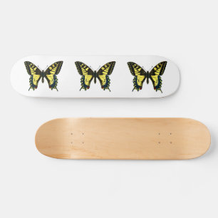 Skate Papilio machaon - Borboleta do Velho Mundo