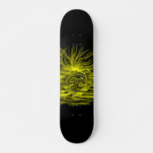Skate Par de golfinho à luz do sol