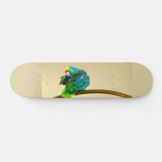 Skate Parrot Deck