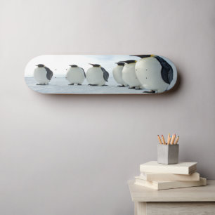 Skate Partido Pinguim