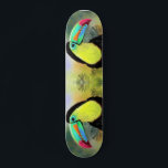 Skate Pássaro Toco Toco Tropical Exótico - Pintura<br><div class="desc">Pássaro Toco Tócico Tropical Exótico - Pintando Uma Linda Coloração Watercolor</div>