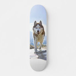 Skate Patineta Enérgico Husky Siberiano Caminando