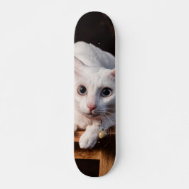 Skate Patineta Gato Blanco Montado En Una Silla