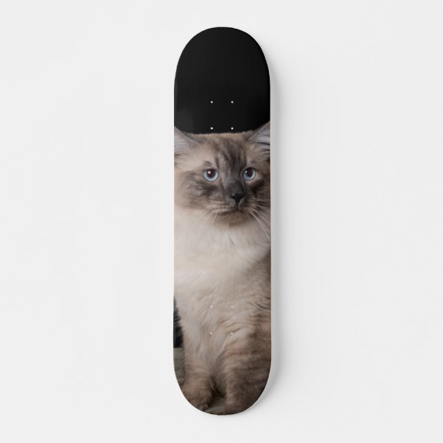 Skate Patineta Gato Siberiano Observando (Frente)