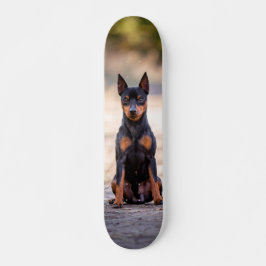 Skate Patineta Perro Pinscher Miniatura Sentado