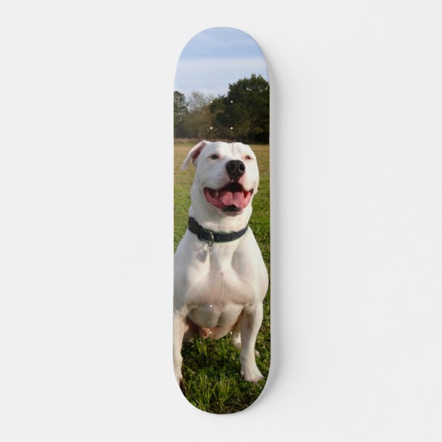 Skate Patineta Pitbull Blanco Sentado En El Campo (Frente)