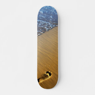 Skate Pé de Passos de Praia