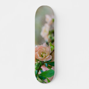 Skate Peach Flor Quince