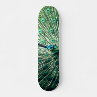 Skate Peacock Strut