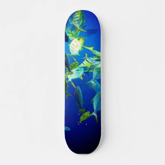 Skate Peixes Marinhos de Amarelo com Stripes Negras (Frente)