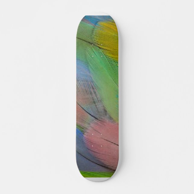 Skate Penas Coloridas (Frente)