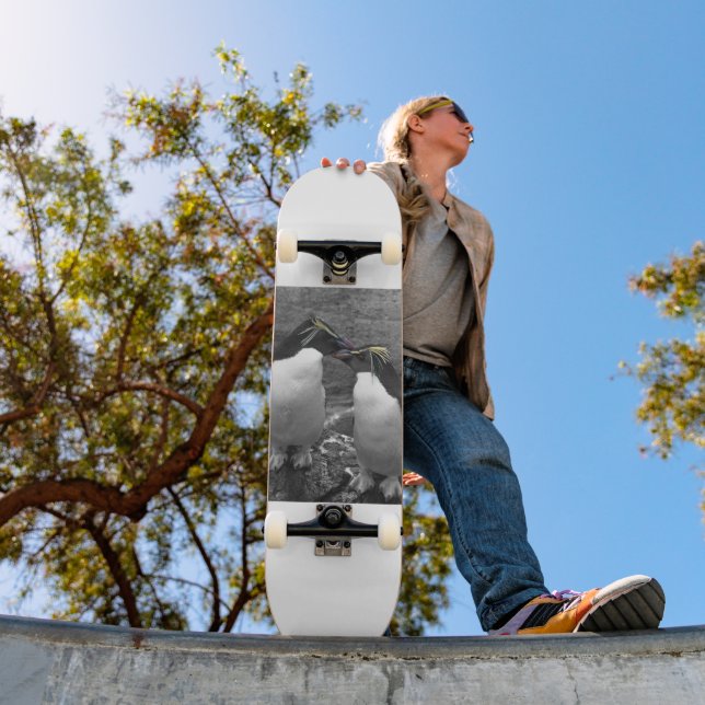 Skate Penguin Colour Splash (Ao ar livre 1)