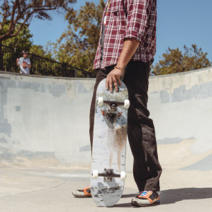Skate Pequena Festa Bonita na Neve de inverno 1 #animal#