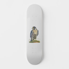 Skate Peregrine Falcon