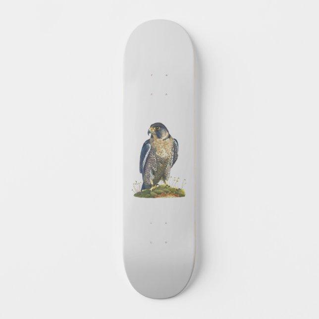 Skate Peregrine Falcon (Frente)