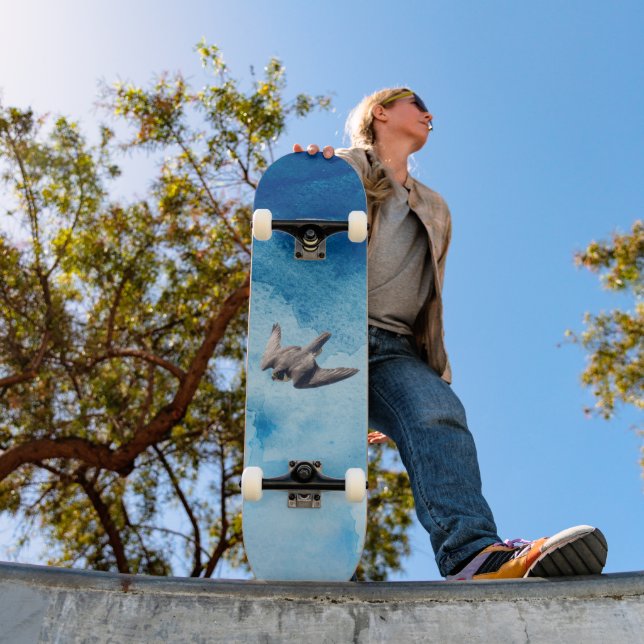 skate peregrino falcão (Ao ar livre 1)