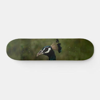 Skate Perfil de Peacock