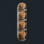 Skate Pet Dog Cat Photo Custom Tiled Template<br><div class="desc">This design may be personalized in the area provided by changing the photo and/or text. Or it can be customized by choosing the click to customize further option and delete or change the color of the background, add text, change the text color or style, or delete the text for an...</div>