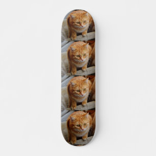 Skate Pet Dog Cat Photo Custom Tiled Template